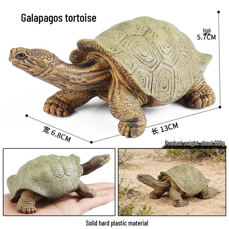 Children's Cognitive Marine Animal Models: Sea Turtle and Tortoise Toys