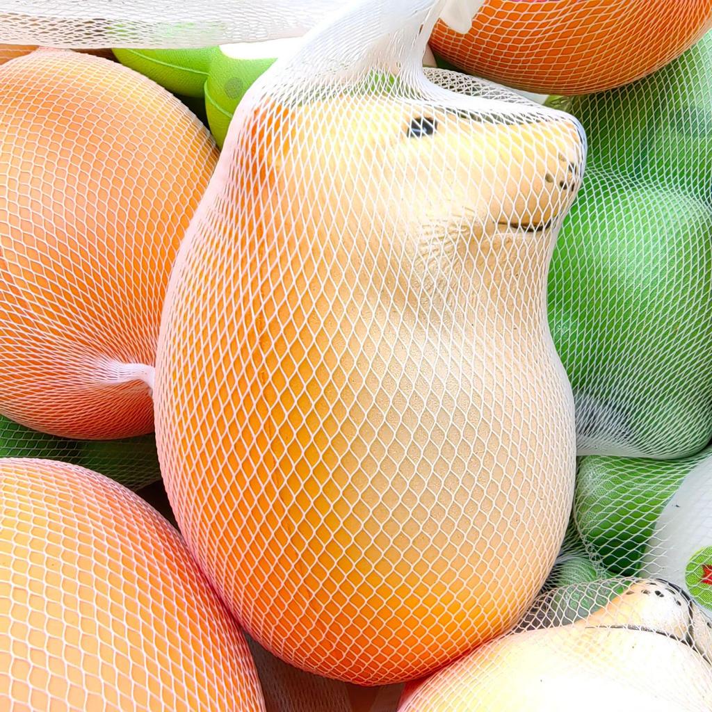 Hrnek s pískem a vejcem psa Shiba Inu: Zábavná dekompresní hračka