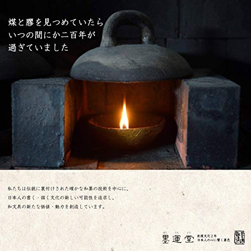 Sumiundo 24010 Inkstone Japanese Inkstone Natural