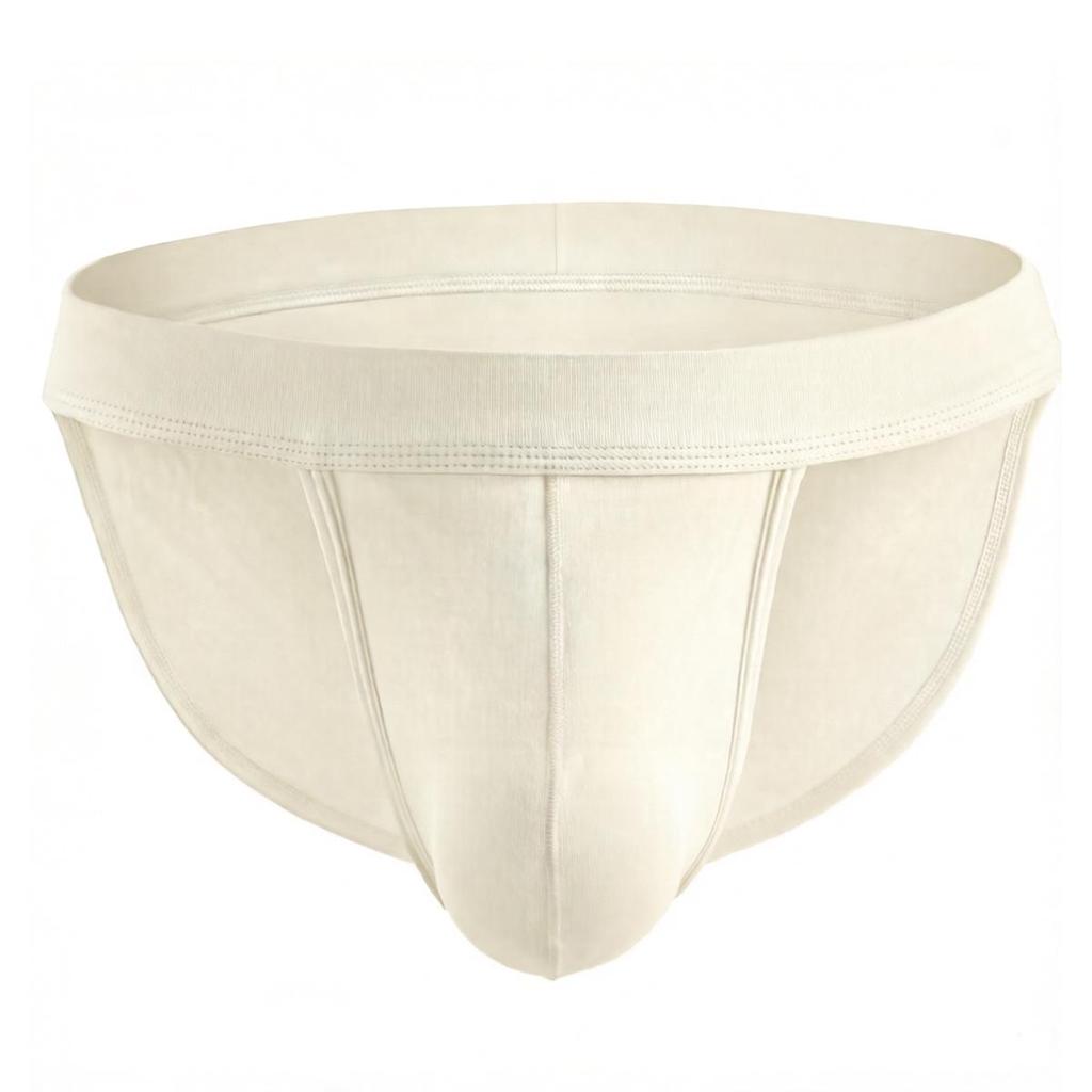 Men's Low-Rise Ice Silk Nylon Briefs: Quick-Drying, Breathable, Soft, High-Cut for Longer-Looking Legs, Comfortable & Sexy.