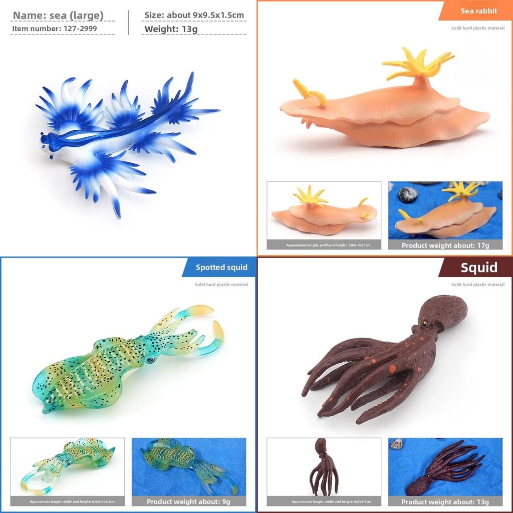 Sea Creature Sea Slug Squid Pvc Model Ornament For Aquarium Office Decoration