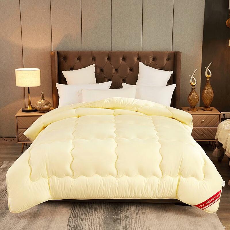 Nanjiren Brushed Microfiber Winter Quilt