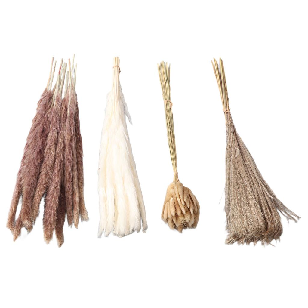 Natural Dried Pampas Grass Fluffy 15PCS White Pampas 15PCS Brown Pampas 50PCS Bunny Tail Grass