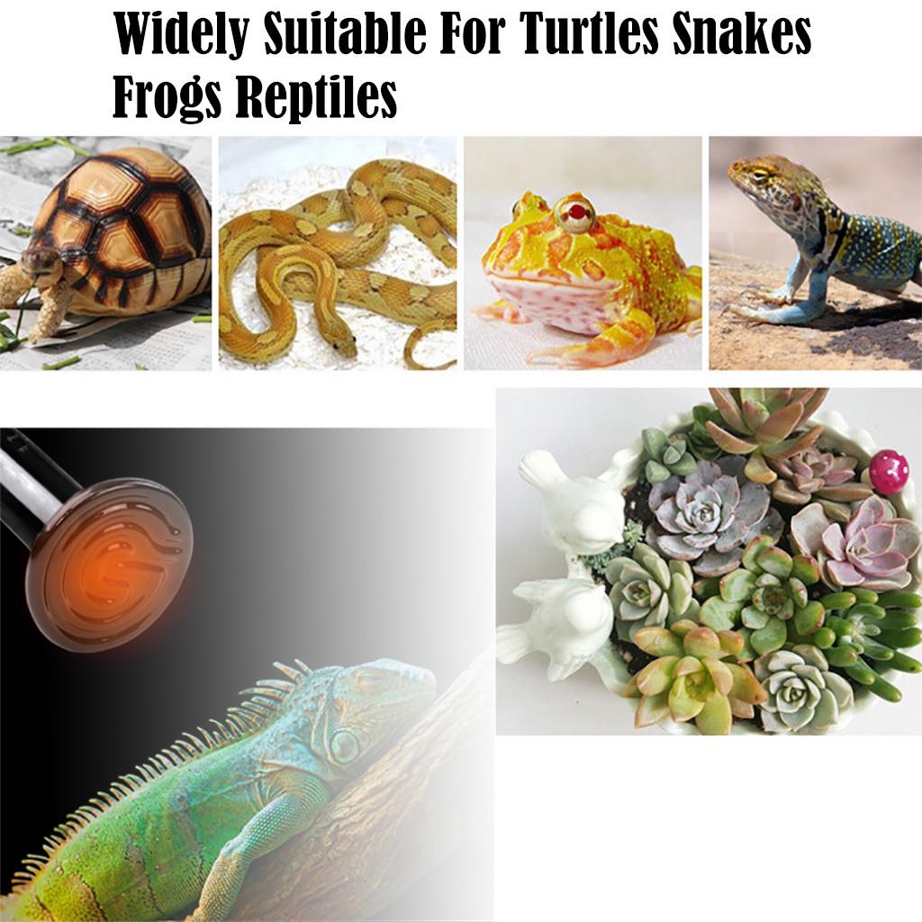 220V Infrared Ceramic Emitter Heat Light Lamp Bulb For Reptile Pet Brooder