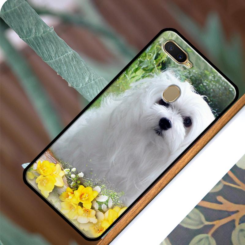 Étui Chien Maltais Dessin Animé Pour OPPO A83 A91 A93 A1K A15 A3S A54 A74 A94 A5 A9 A31 A53 A52 A72 A53S Coque Arrière