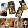 Phone Cover Golden Retriever Dog Pet Casing for Apple iPhone 17 16 11 Pro XS Max XR 6 7 8 Plus + 16E SE 2020 Air 5 8+ Case