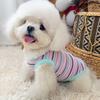Cotton Ribbed Knit Dog Vest for Small Breeds Summer Sleeveless Striped Puppy Shirt Soft Breathable Pet Outfits
