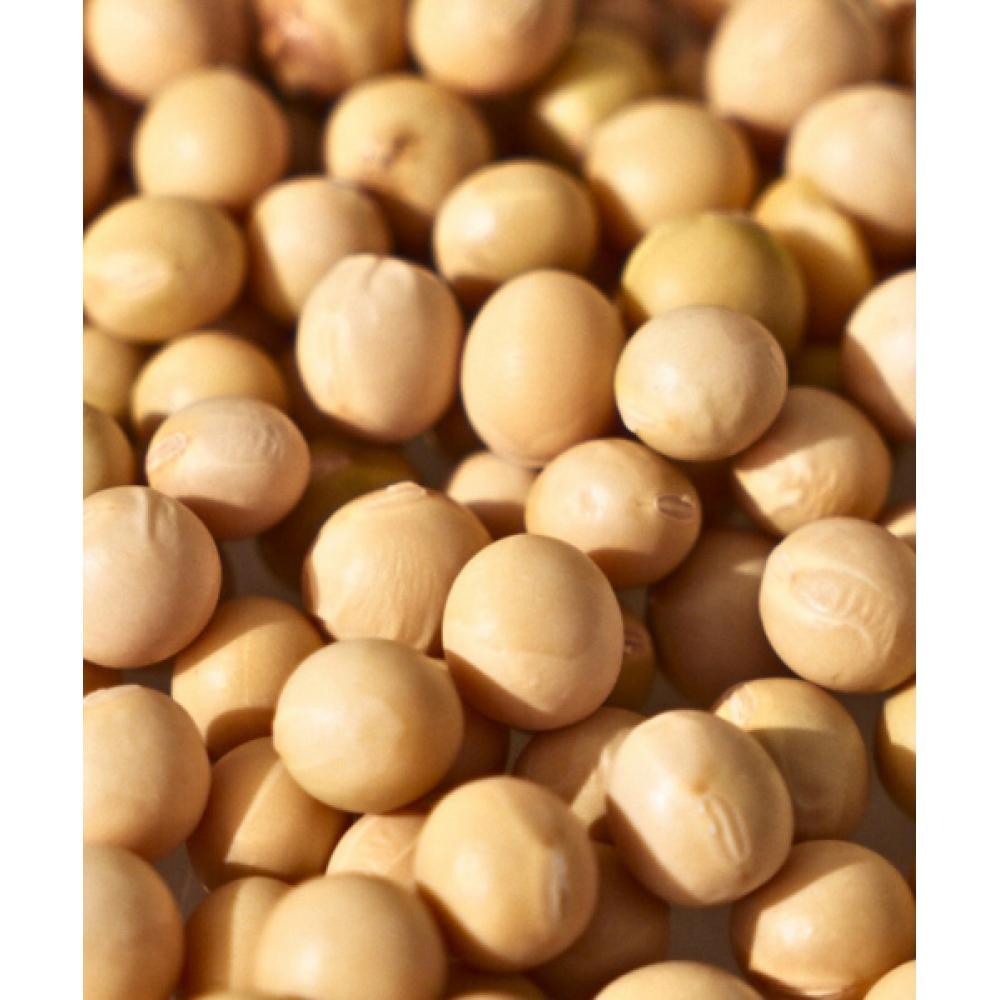 Nesh [set Of 2] Soy Biome Protein Repair Treatment 250ml X 2