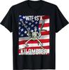 WTF Is A Kilometer July 4th Skeleton Funny Cringey USA Meme T-Shirt