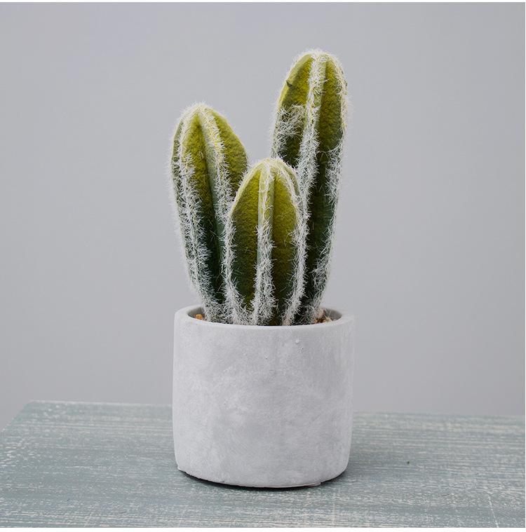 

Simulated cactus fleshy potted office decoration fake cactus cement retro small bonsai