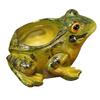 Realistic Design Frog Succulent Plant Pots Indoor Decor Resin