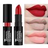 Waterproof  Velvet Matte Long Lasting Pigmented Nude Lipstick Luxury Party Lips Makeup Cosmetics