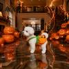 Funny Cat Apparel Pumpkin Halloween Dog Costume, Soft Polyester Pet Clothes with Puppy Outfit Comfortable Strap, Decorative for Holiday Parties