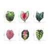Creative Acrylic Tropical Plant Magnetic Fridge Sticker - Simulation Leaf Design