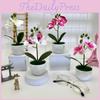 Artificial Pot Phalaenopsis Flower Bonsai For Event Decoration Prop And Home