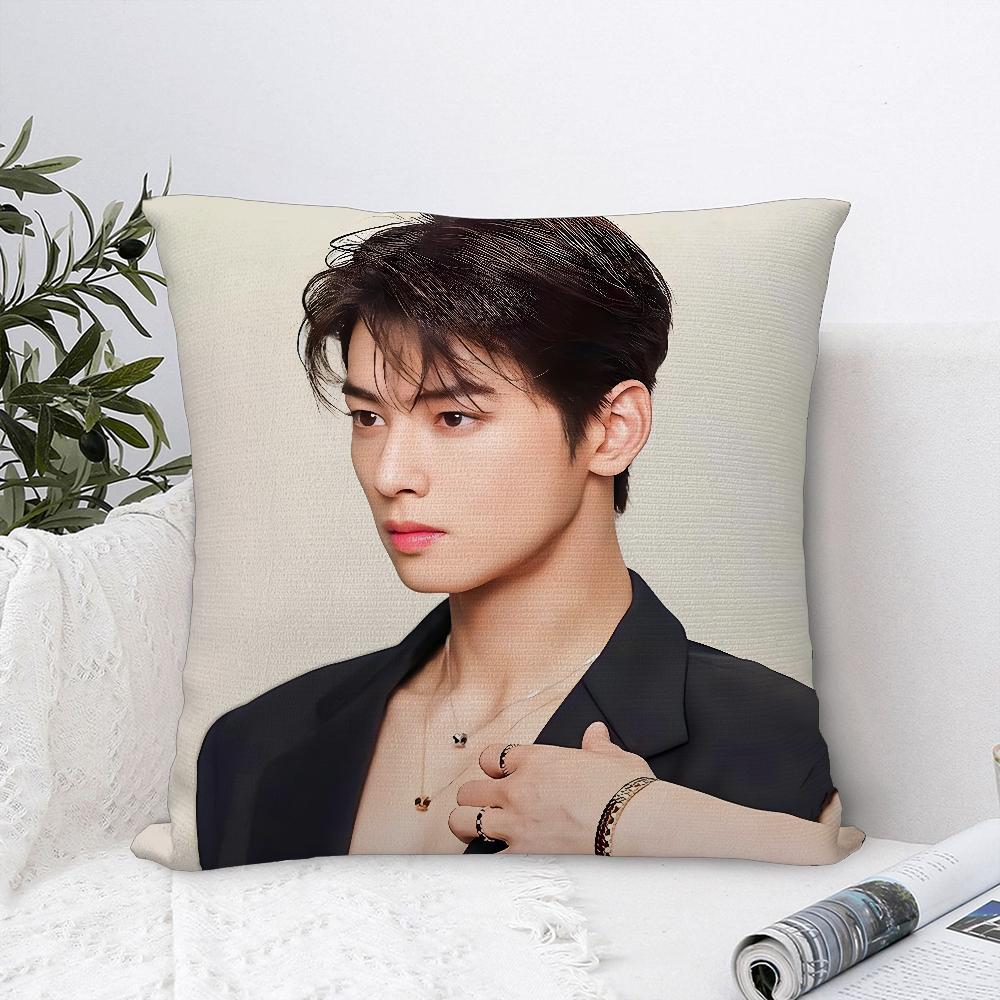 Kpop Singer Cha E-Eun W-Woo Pillow Case Plush Fabric Soft  Pillowcase Double Sided Print   Cushion Cover Throw Pillow Cover