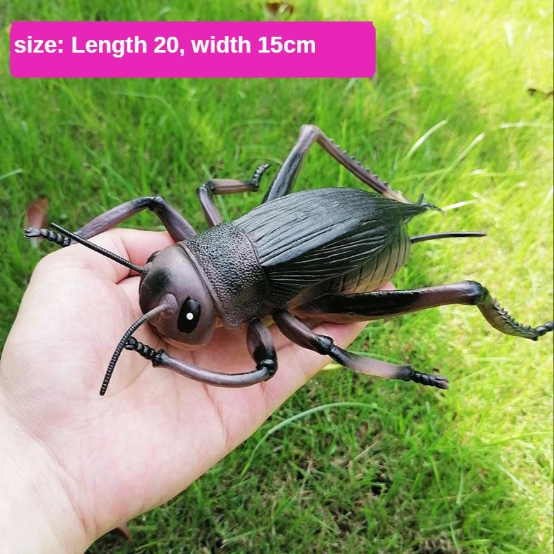 Simulation Insect Small Animal Toy Ant Cricket Spider Scorpion Ladybug Simulation Animal Model Home Garden Ornaments Statues