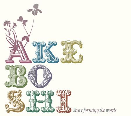 

CD AKEBOSHI - Start Forming the Words RTO001 RoofTop Owl Japan Pop Used