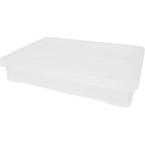 Sanko Plastic (SankoPlastic) Made In Japan Food Container, Foodtainer with Lid, No. 2, Clear, 552081