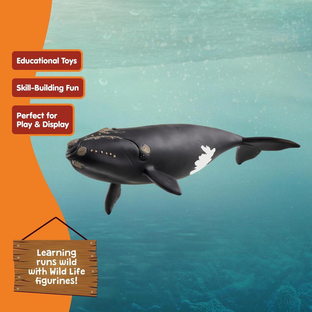 Schleich Wildlife North Atlantic Right Whale 14878
