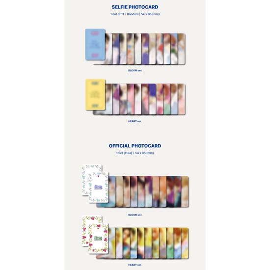 [Pre Order] THE BOYZ 2nd Album 'Bloom Bloom' (Platform Ver.)
