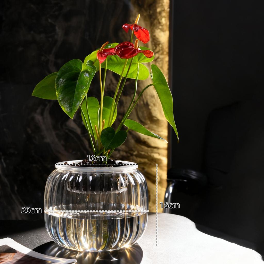 Small Hydroponic Vase for Phalaenopsis & Succulents - Desktop Decoration