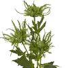 Hill Interiors Sea Holly Spray Artificial Flower