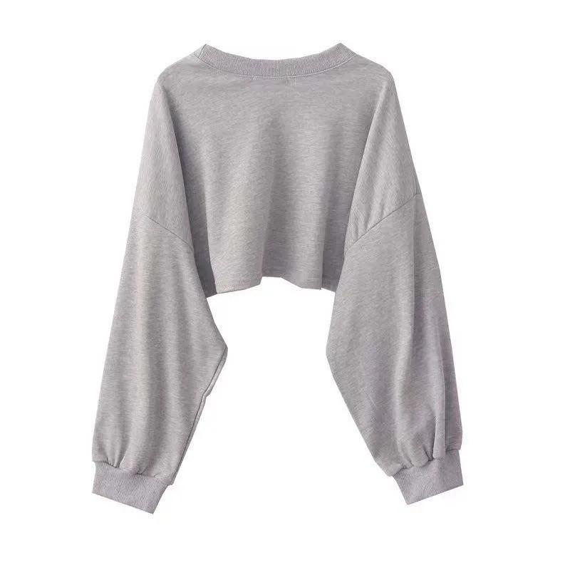 Damen-Sweatshirt, kurz, dünn, schmal, langärmelig, Rundhalsausschnitt, lässig, kurzes Oberteil, Bluse, täglich, lässig, zweiteilig, einfacher Stil, Frühling und Herbst