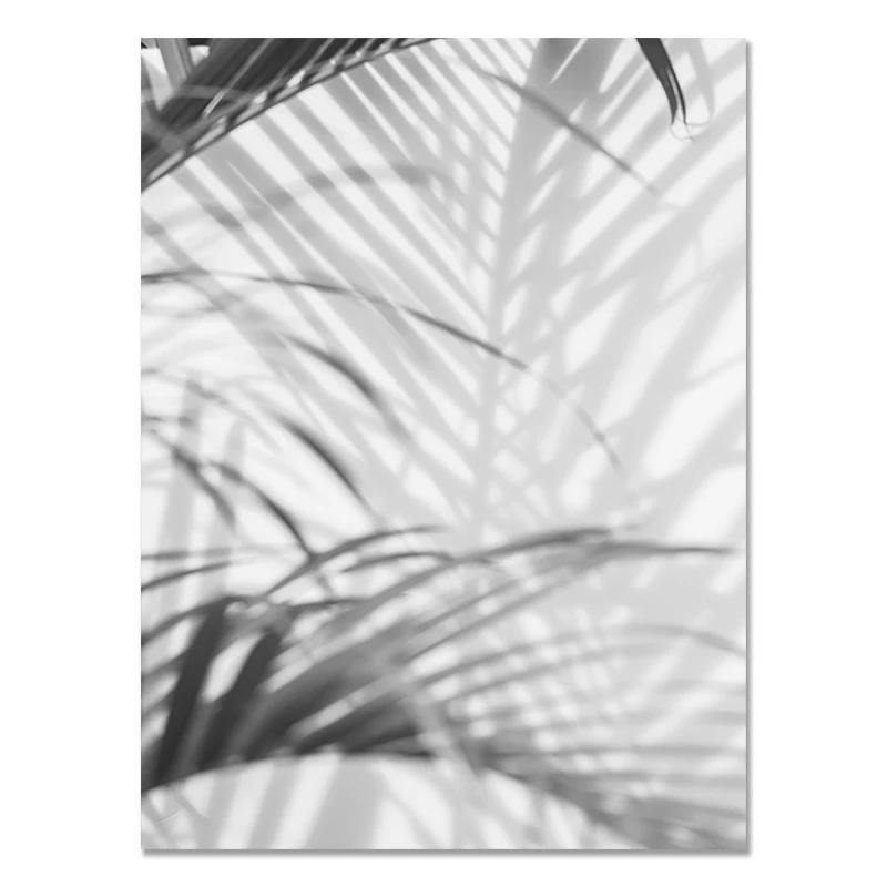 Black and White Flower Posters Print Fresh Canvas PaintingWall Art Feather Dandelion Pictures  Living Room Decoration Wall Decor