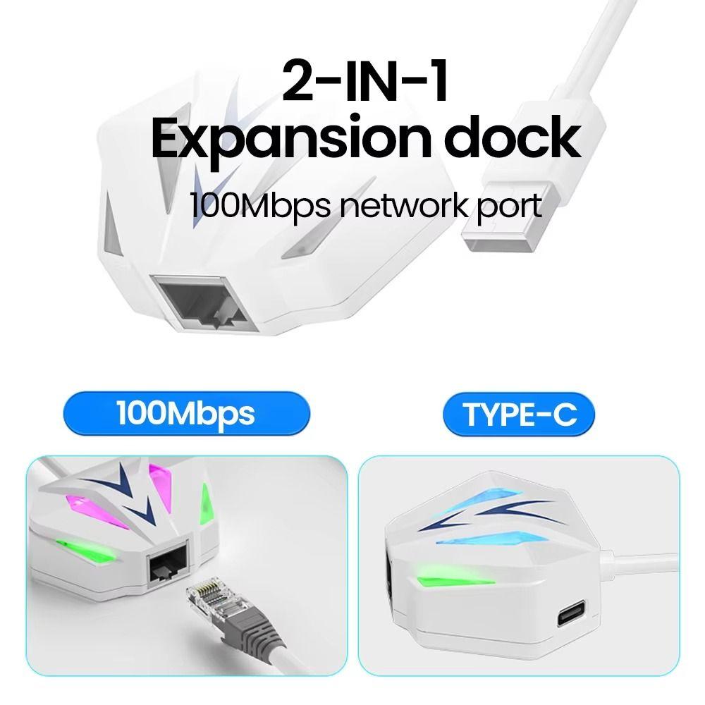 2-in-1 USB To RJ45 Network Card USB/Type-c USB To Network Port For PC Laptop