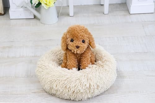 Voice-activated plush toy for adults [Talking Toy Poodle] Easy to operate even for seniors. Perfect gift. Phone support available.