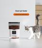 Automatic Cat Feeder: Smart Timed Food Dispenser Bowl