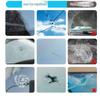 Quick Fix Windshield Chip Repair Kit to Repair Scratches Cracks with Suction Cup Curing Light Efficiency Repair Kit