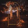 Metal Arch Backdrop Stand 4ft/5ft/6ft/6.6ft Gold Wedding Arch Stand Frame Flower Balloon Photography Arched Frame for Ceremony Birthday Party Baby