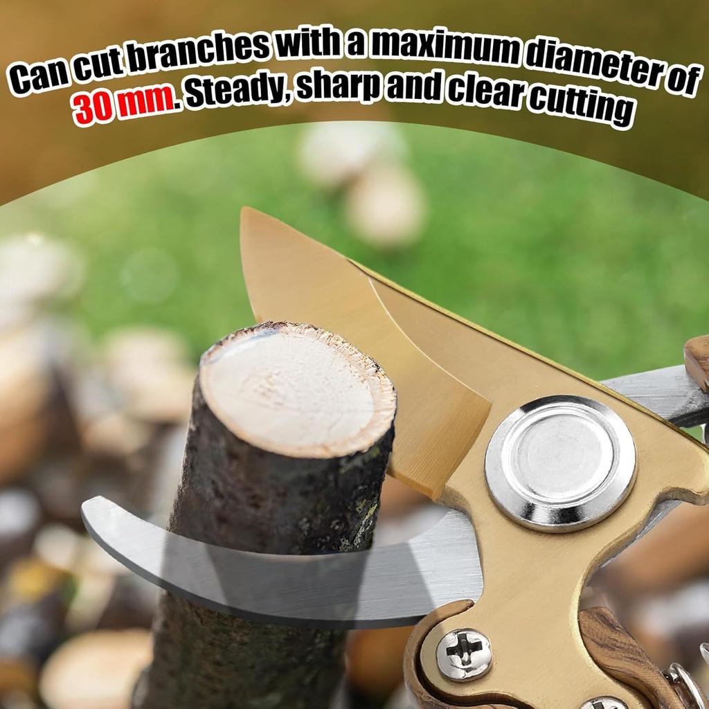 1PC Manual Fruit Tree Shears, Carbon Steel Flower Pruning Shears, Heavy-duty Gardening Shears, for Pruning Plants