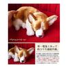 Nini and Kino Perfect Pet (Small Size) Corgi Stuffed Toy Dog Dog Realistic Look-alike Miscellaneous Goods Animal Healing Moving Present Gift
