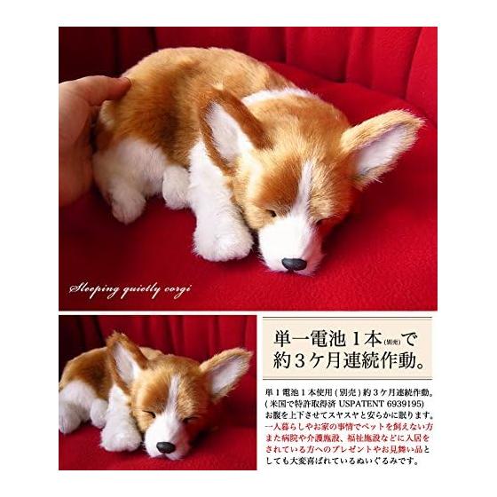 Nini and Kino Perfect Pet (Small Size) Corgi Stuffed Toy Dog Dog Realistic Look-alike Miscellaneous Goods Animal Healing Moving Present Gift