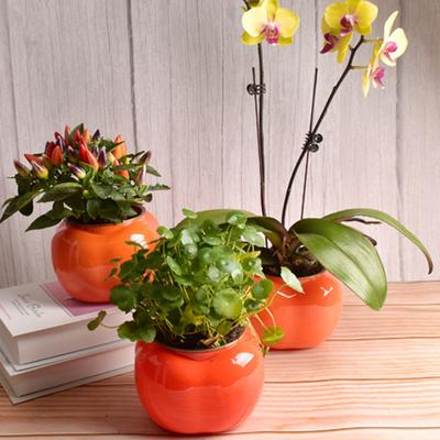 1 Set Flower Pot Dual Layer Shatterproof Plastic Decorative Plant Flower Pot with Water Container for Home