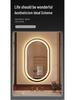 Oval LED Smart Vanity Mirror with Touch Screen