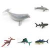 Marine Animal Replica White Whale Shark Static Model For Aquarium Display And Marine Education