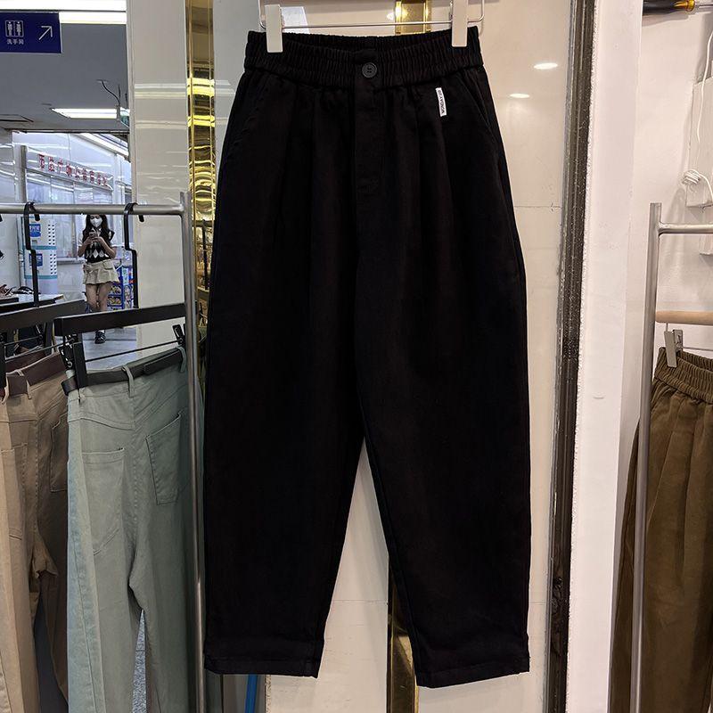 Fleece Harem Pants for Women, Autumn and Winter Korean Style, Versatile, Fashionable, Loose and Slimming Work Pants, Thickened Casual Long Pants