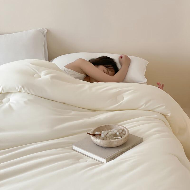 Brangdy All-Season Thickened Soy Fiber Duvet Insert
