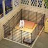 Indoor Pet Fence for Small Dogs: Teddy, Bichon Frise, Corgi, Chihuahua