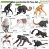Realistic Animal Heart Model Toy: Lemur, Raccoon, Orangutan, Baboon