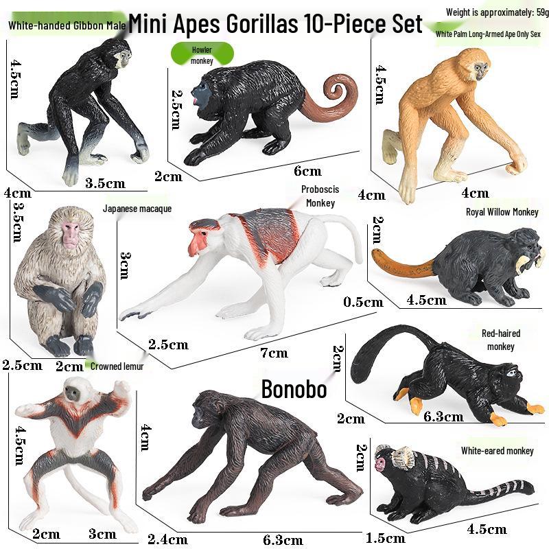 Realistic Animal Heart Model Toy: Lemur, Raccoon, Orangutan, Baboon