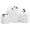 VidaXL Decorative Christmas Gift Boxes 3 Pcs Outdoor Indoor Luminous Holiday Decoration Christmas Boxes 329766