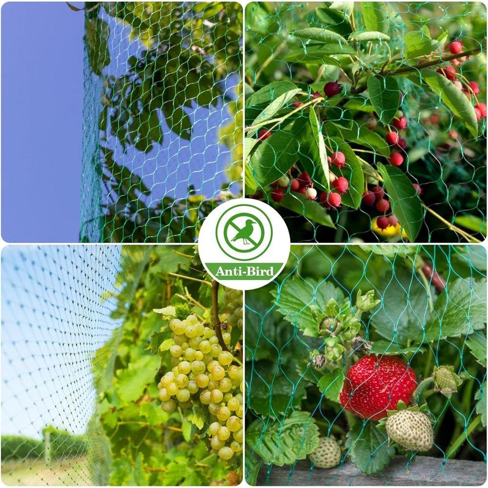 Best Stretch Fence Anti Bird Netting Green Fine Mesh Durable Garden Plant Protection Net