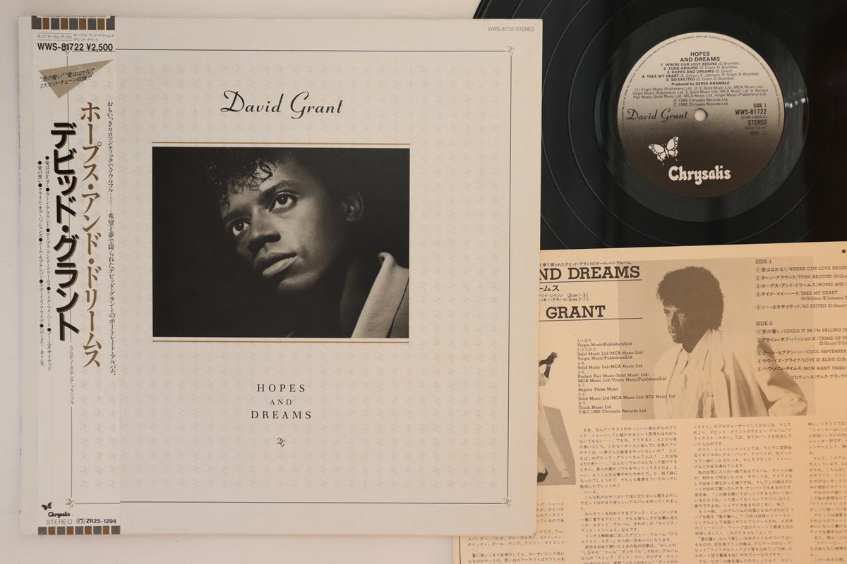 

LP Record DAVID GRANT - Hopes And Dreams WWS81722 CHRYSALIS 1985 Japan Obi Soul/Funk Used