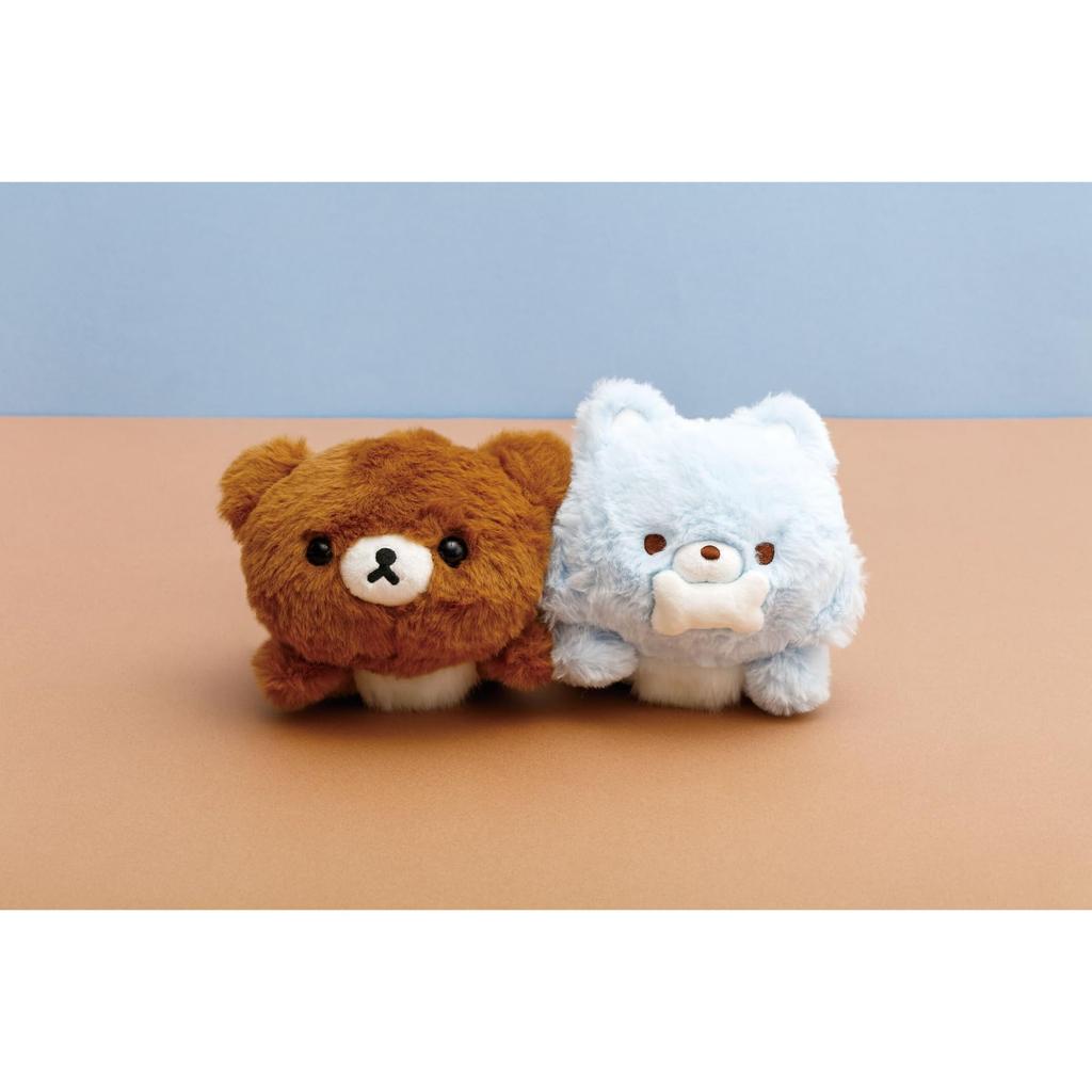 Rilakkuma Plush H115 X W170 X D200mm San-X "Aokogu's Stayover" Lap-Suitable Toy, Chairoikoguma, MV07401,