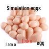 Simulated Unbreakable Eggshells - DIY Painting & Teaching Aids